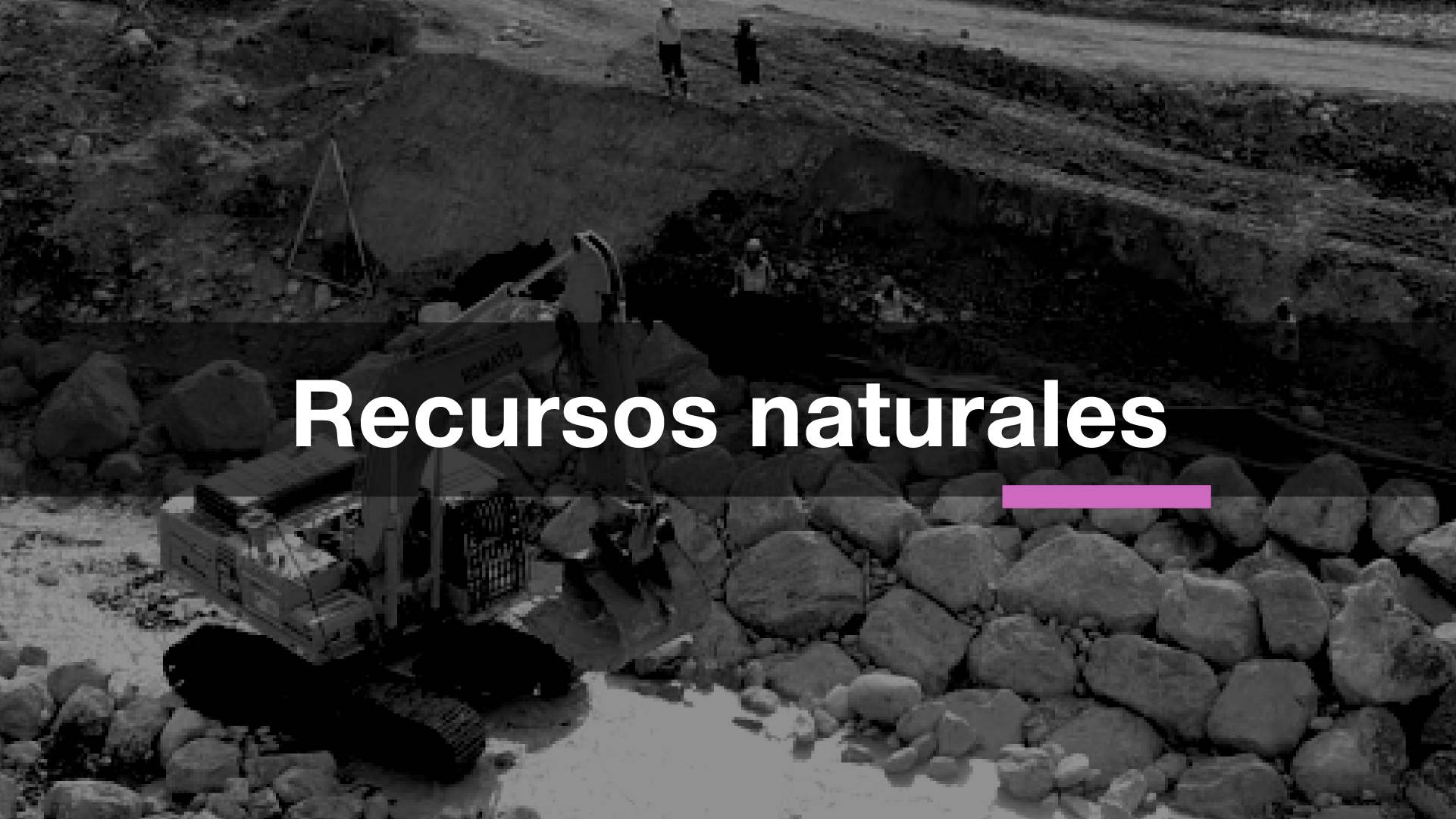 sector-recursos-naturales